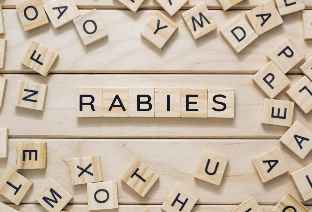 The image is a jumble of wooden letters that spell out the word rabies